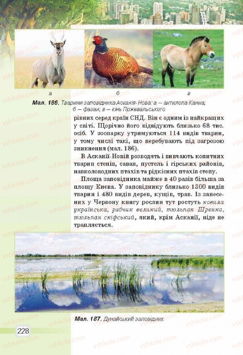 Страница 228 | Підручник Природознавство 5 клас О.Г. Ярошенко, В.М. Бойко 2013