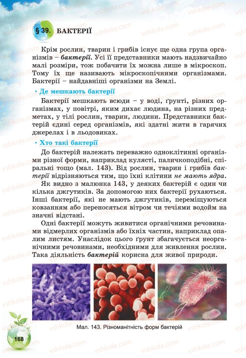 Страница 168 | Підручник Природознавство 5 клас Т.В. Коршевнюк, В.І. Баштовий 2013