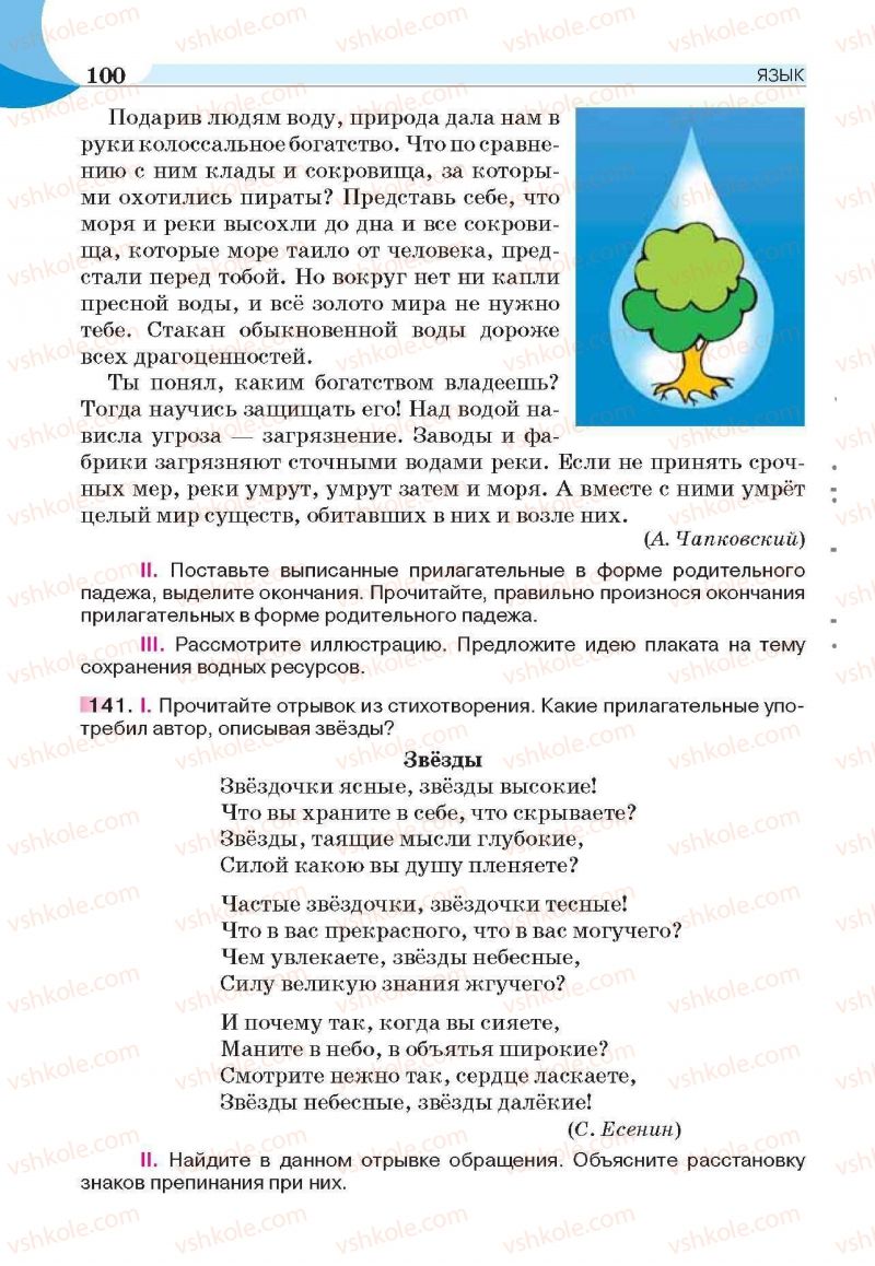 Страница 100 | Підручник Русский язык 6 клас Е.И. Быкова, Л.В. Давидюк, Е.С. Снитко, Е.Ф. Рачко 2014