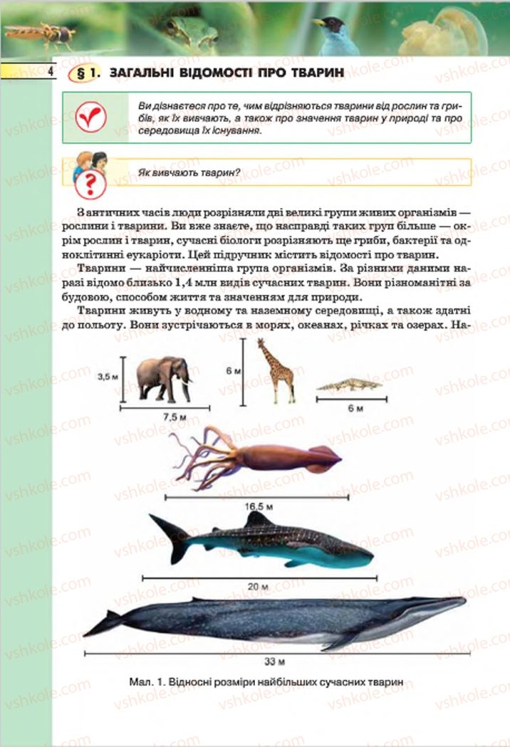 Страница 4 | Підручник Біологія 7 клас І.Ю. Костіков, С.О. Волгін, В.В. Додь 2015