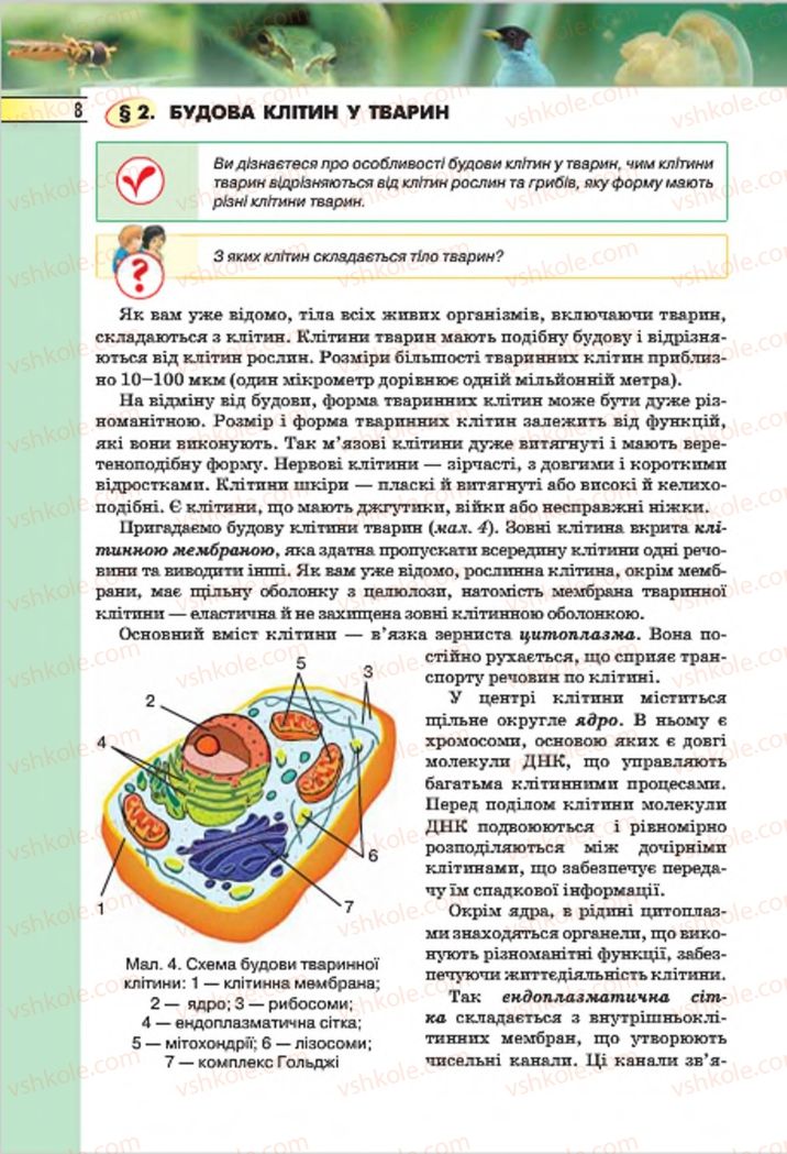 Страница 8 | Підручник Біологія 7 клас І.Ю. Костіков, С.О. Волгін, В.В. Додь 2015