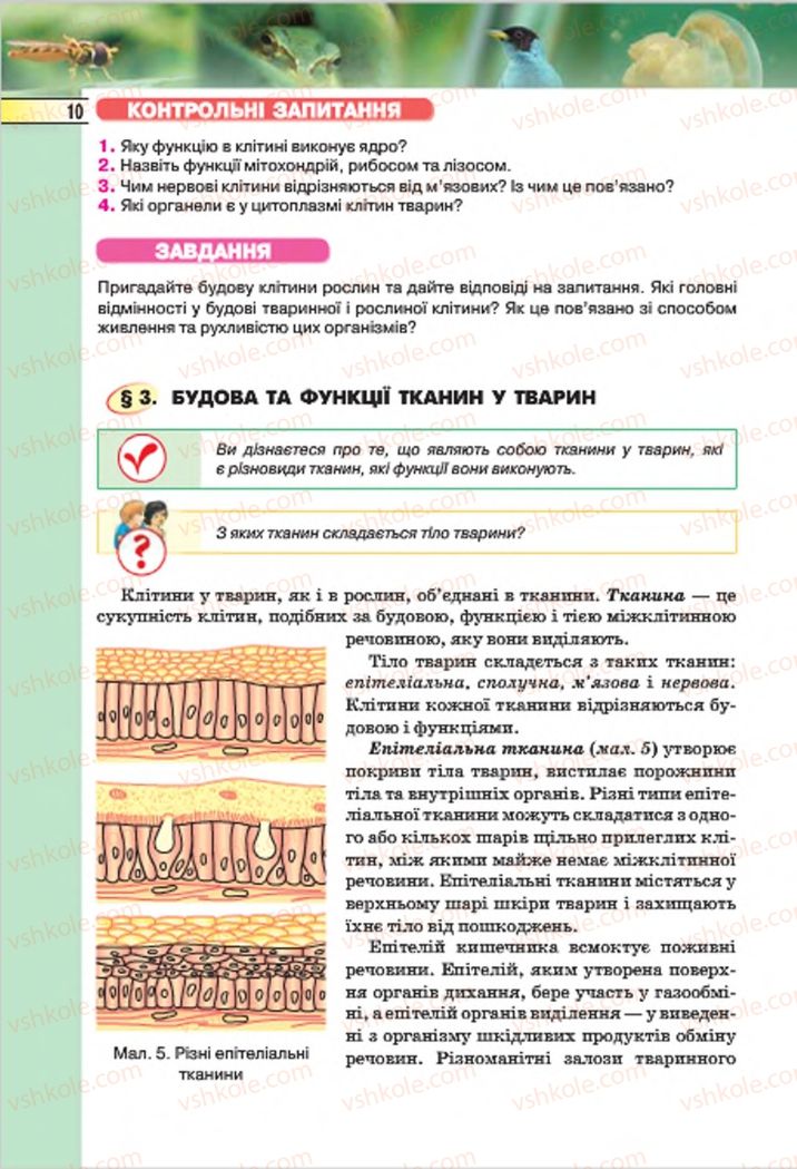 Страница 10 | Підручник Біологія 7 клас І.Ю. Костіков, С.О. Волгін, В.В. Додь 2015