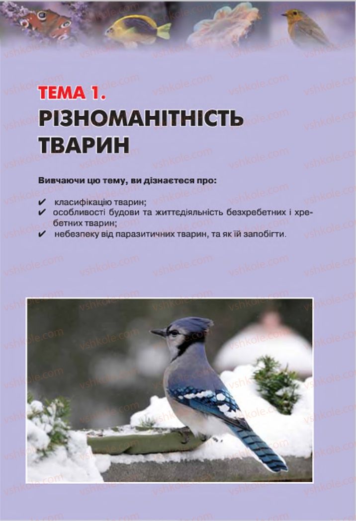 Страница 17 | Підручник Біологія 7 клас І.Ю. Костіков, С.О. Волгін, В.В. Додь 2015