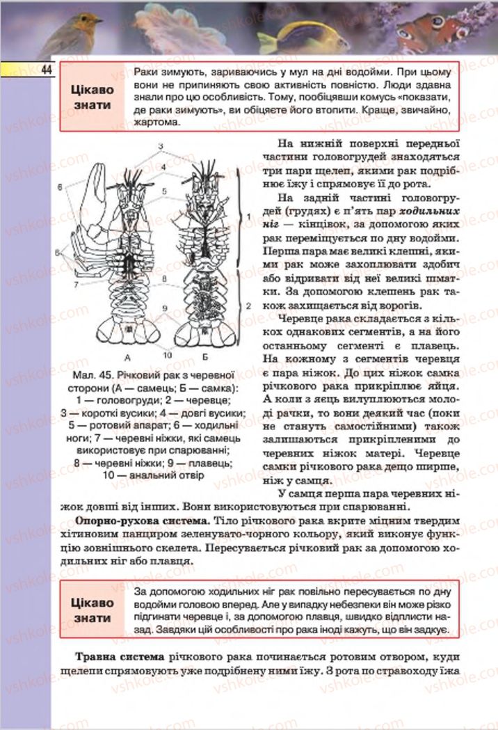 Страница 44 | Підручник Біологія 7 клас І.Ю. Костіков, С.О. Волгін, В.В. Додь 2015