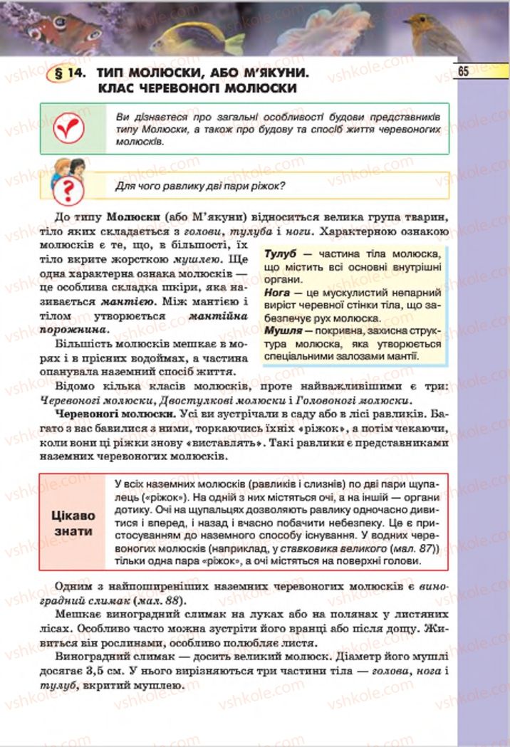 Страница 65 | Підручник Біологія 7 клас І.Ю. Костіков, С.О. Волгін, В.В. Додь 2015