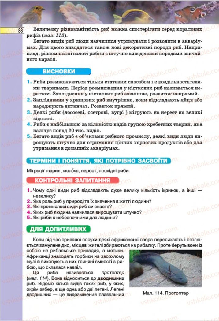 Страница 88 | Підручник Біологія 7 клас І.Ю. Костіков, С.О. Волгін, В.В. Додь 2015