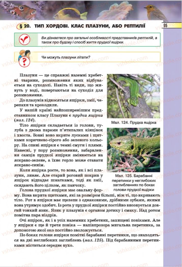 Страница 95 | Підручник Біологія 7 клас І.Ю. Костіков, С.О. Волгін, В.В. Додь 2015