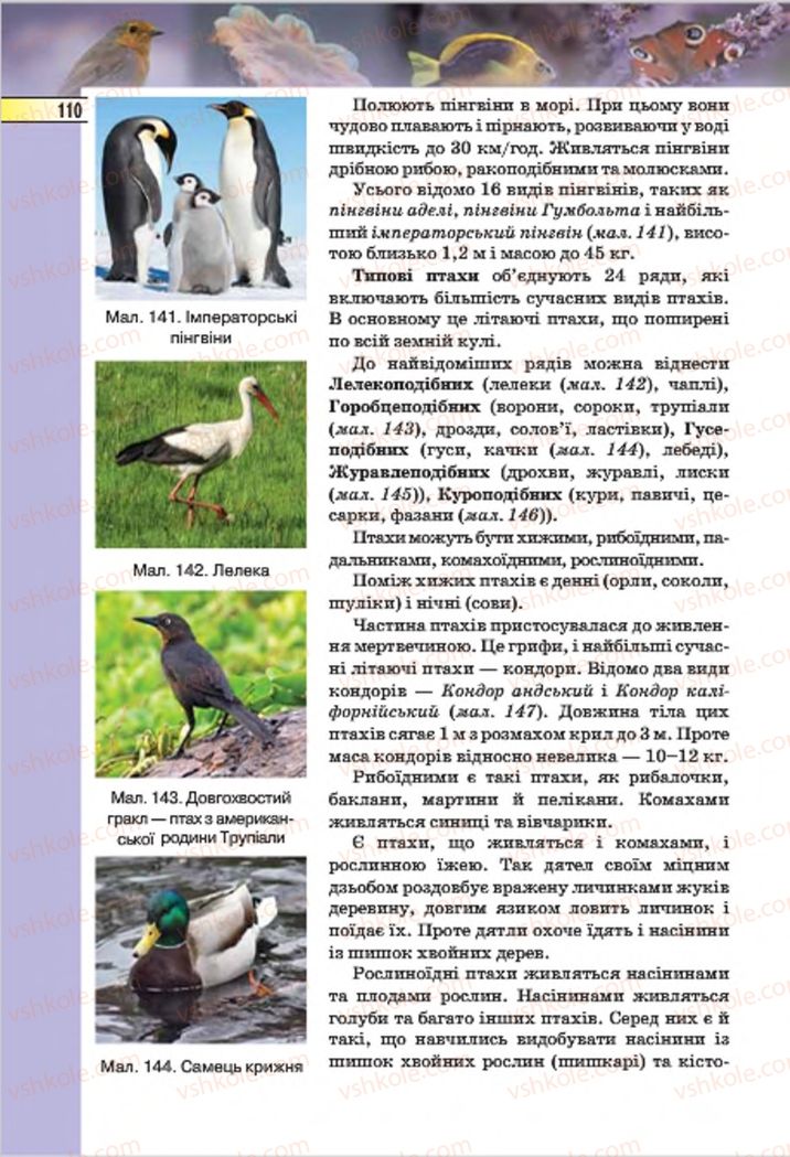 Страница 110 | Підручник Біологія 7 клас І.Ю. Костіков, С.О. Волгін, В.В. Додь 2015