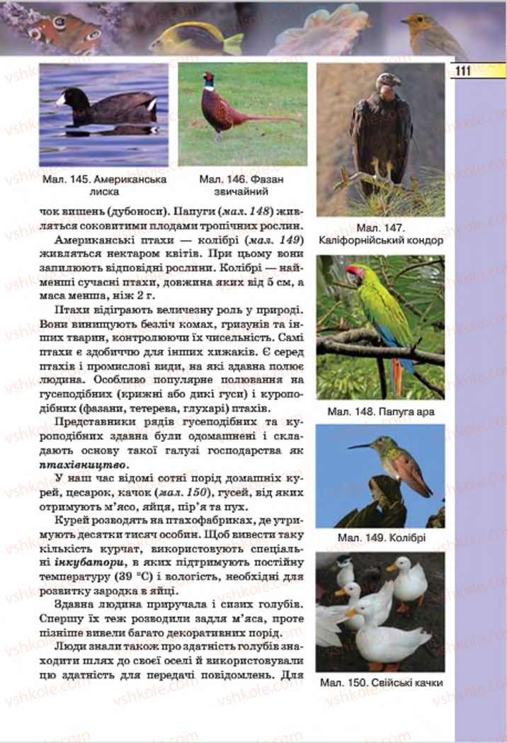 Страница 111 | Підручник Біологія 7 клас І.Ю. Костіков, С.О. Волгін, В.В. Додь 2015