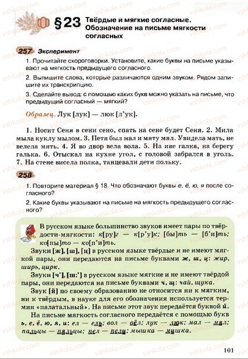 Страница 101 | Підручник Русский язык 5 клас А.Н. Рудяков, Т.Я. Фролова 2013