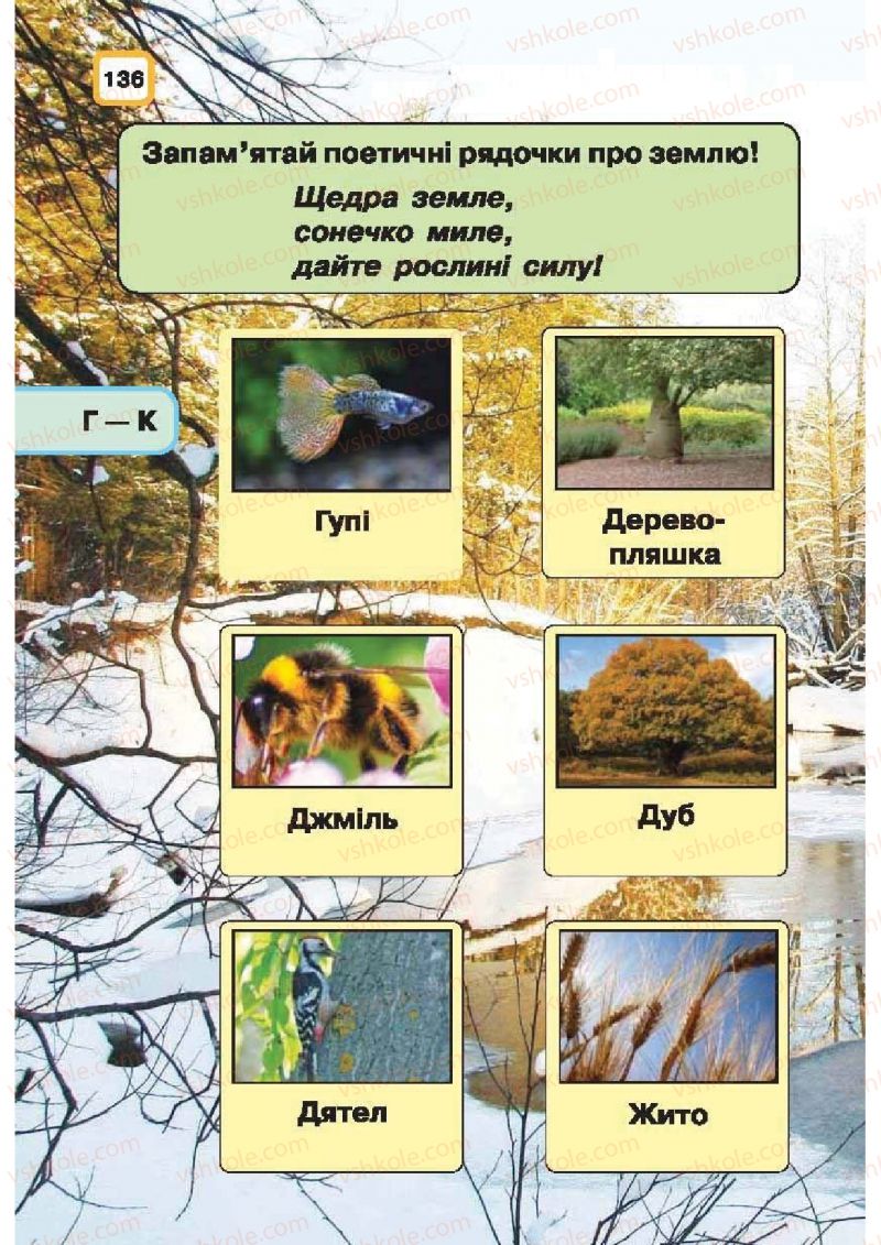 Страница 136 | Підручник Природознавство 1 клас І.В. Грущинська 2010