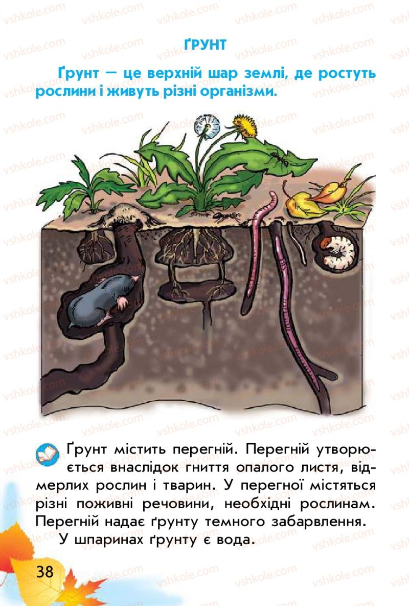 Страница 38 | Підручник Природознавство 1 клас Т.Г. Гільберг, Т.В. Сак 2012