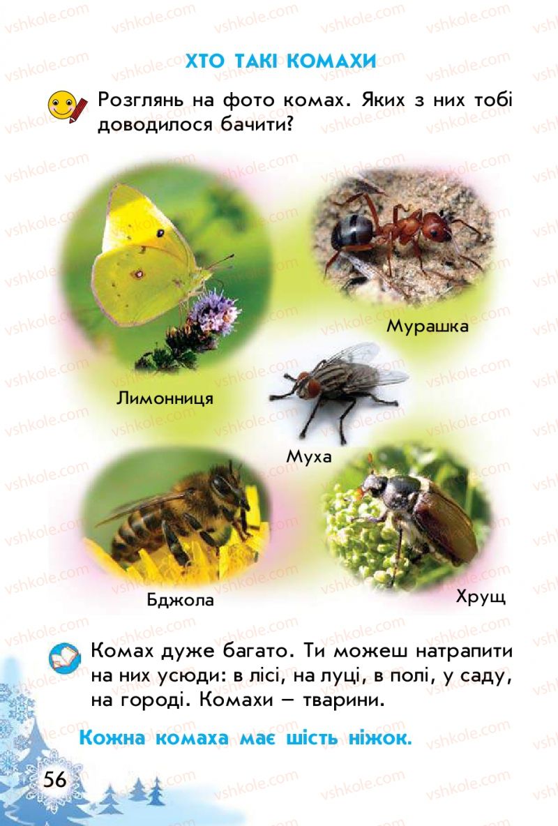 Страница 56 | Підручник Природознавство 1 клас Т.Г. Гільберг, Т.В. Сак 2012