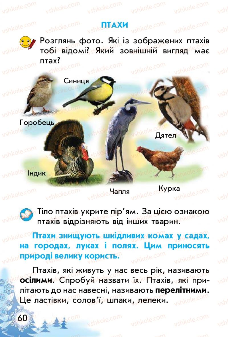 Страница 60 | Підручник Природознавство 1 клас Т.Г. Гільберг, Т.В. Сак 2012