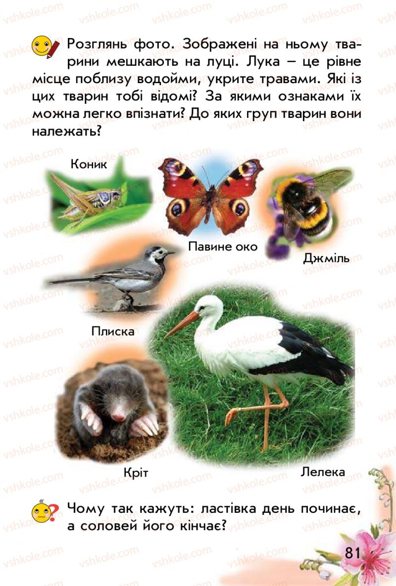 Страница 81 | Підручник Природознавство 1 клас Т.Г. Гільберг, Т.В. Сак 2012