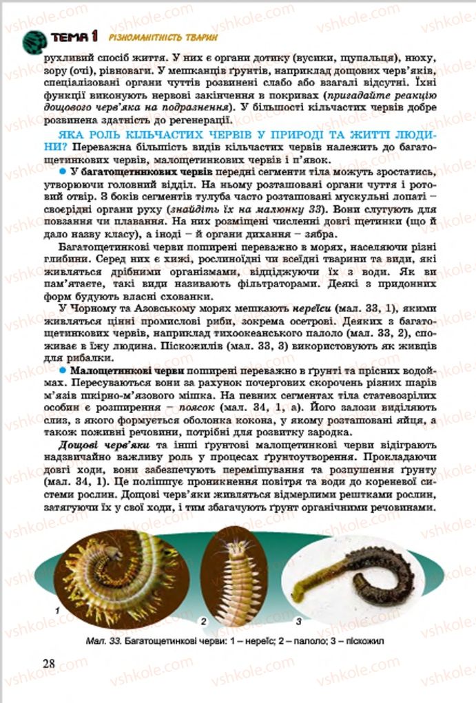 Страница 28 | Підручник Біологія 7 клас  Л.І. Остапченко, П.Г. Балан, В.В. Серебряков 2015