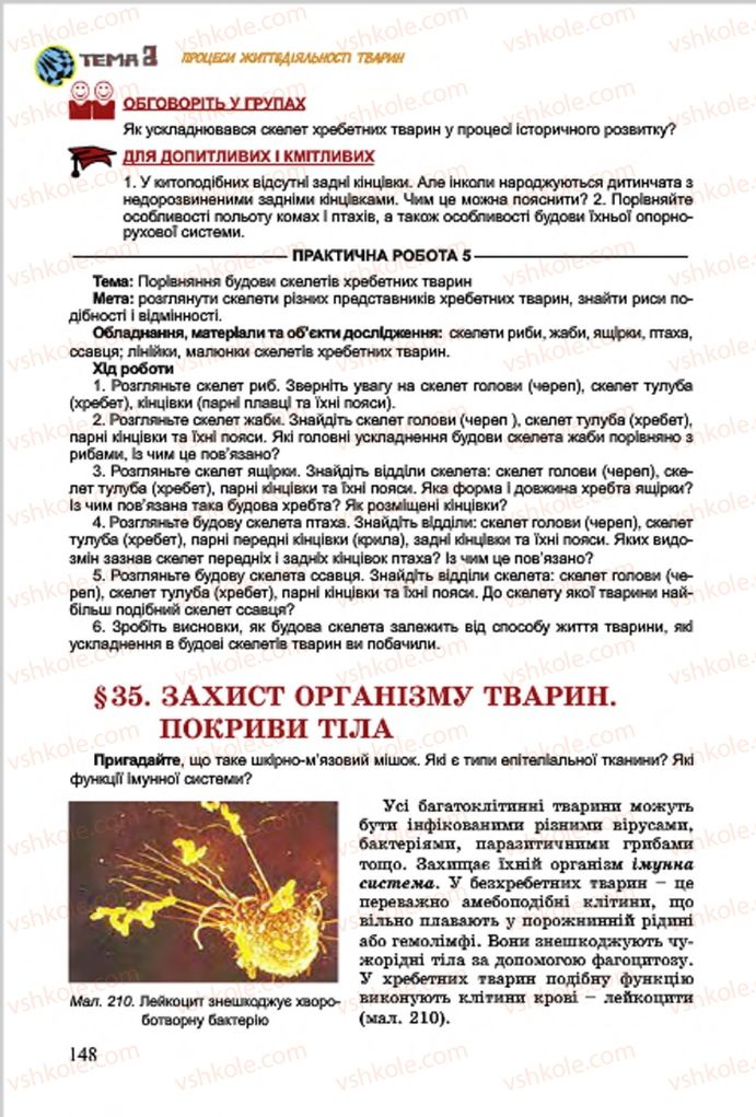 Страница 148 | Підручник Біологія 7 клас  Л.І. Остапченко, П.Г. Балан, В.В. Серебряков 2015