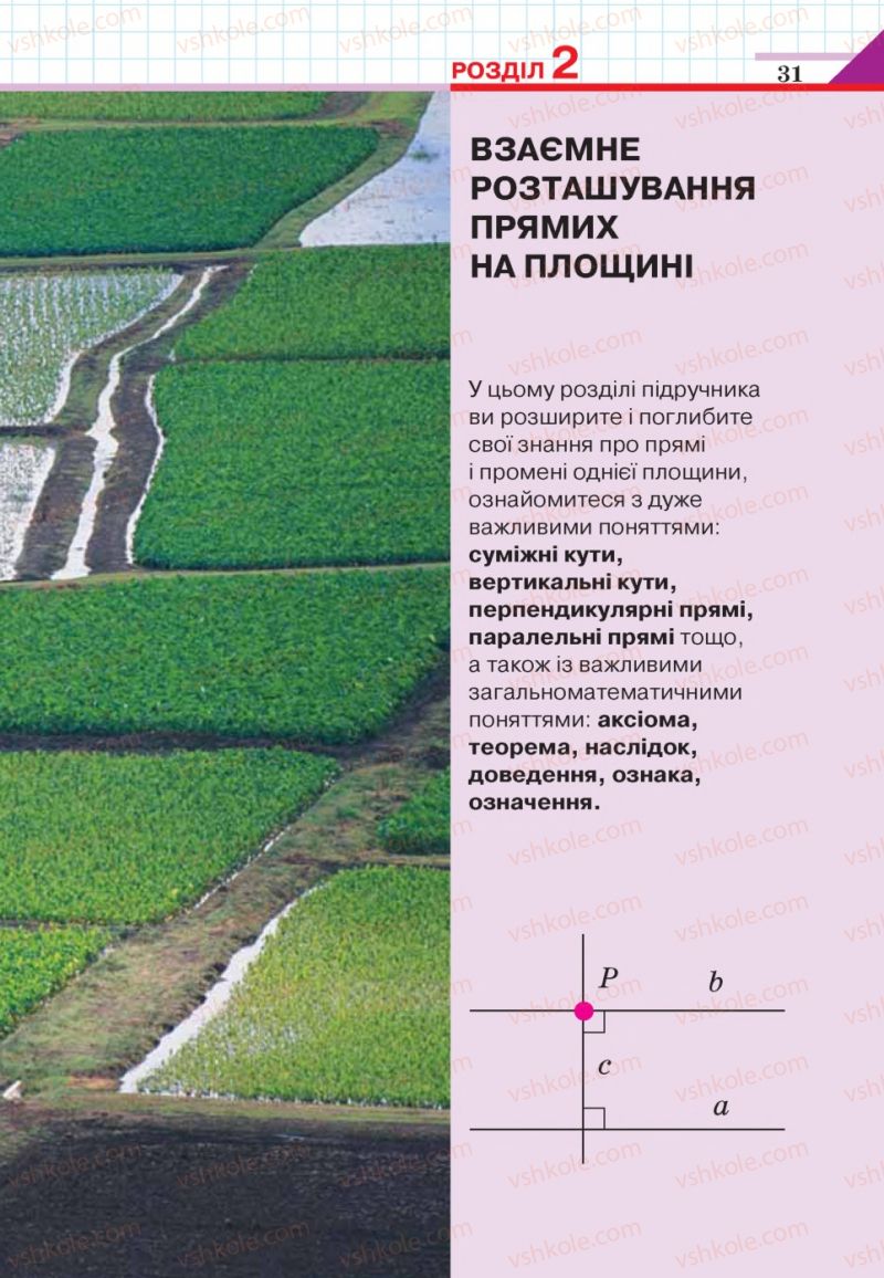 Страница 31 | Підручник Геометрія 7 клас Г.П. Бевз, В.Г. Бевз, Н.Г. Владімірова 2015