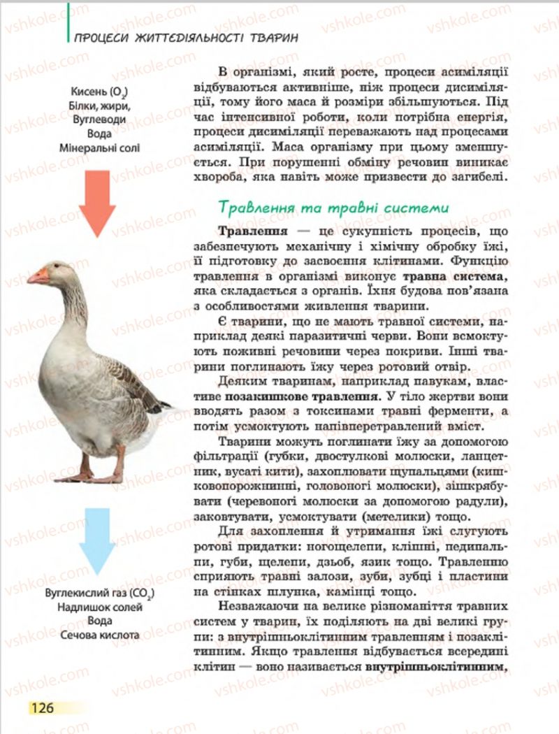 Страница 126 | Підручник Біологія 7 клас Н.В. Запорожець, І.І. Черевань, І.А. Воронцова 2015