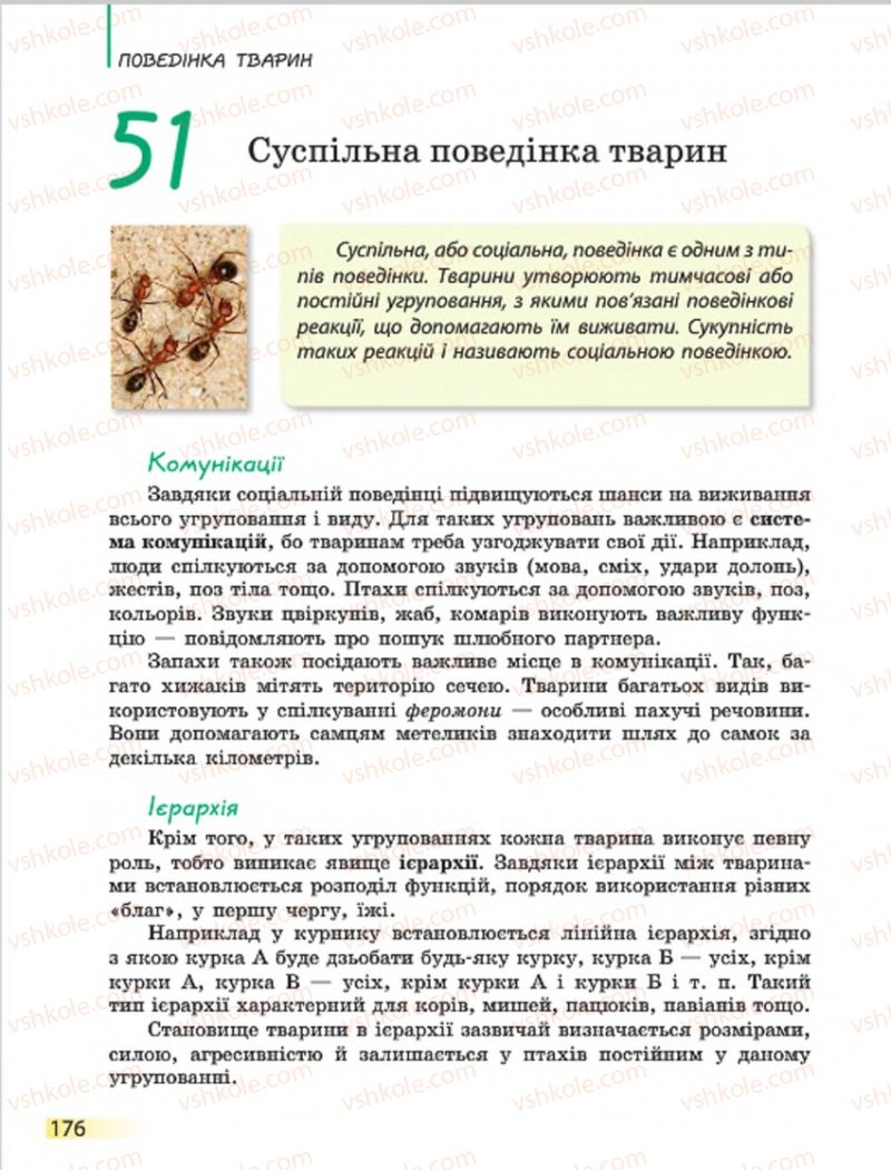 Страница 176 | Підручник Біологія 7 клас Н.В. Запорожець, І.І. Черевань, І.А. Воронцова 2015