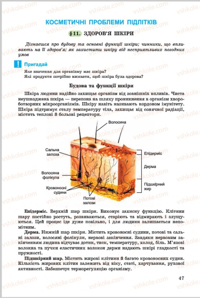 Страница 47 | Підручник Основи здоров'я 7 клас Т.Є. Бойченко, І.П. Василашко, О.К. Гурська, Н.С. Коваль 2015