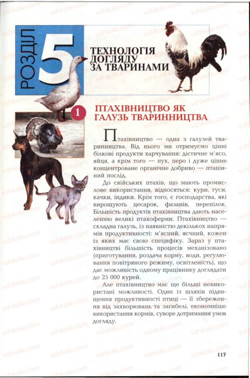 Страница 117 | Підручник Трудове навчання 6 клас В.М. Мадзігон, Г.А. Кондратюк, Г.Є. Левченко 2006 Технічні види праці