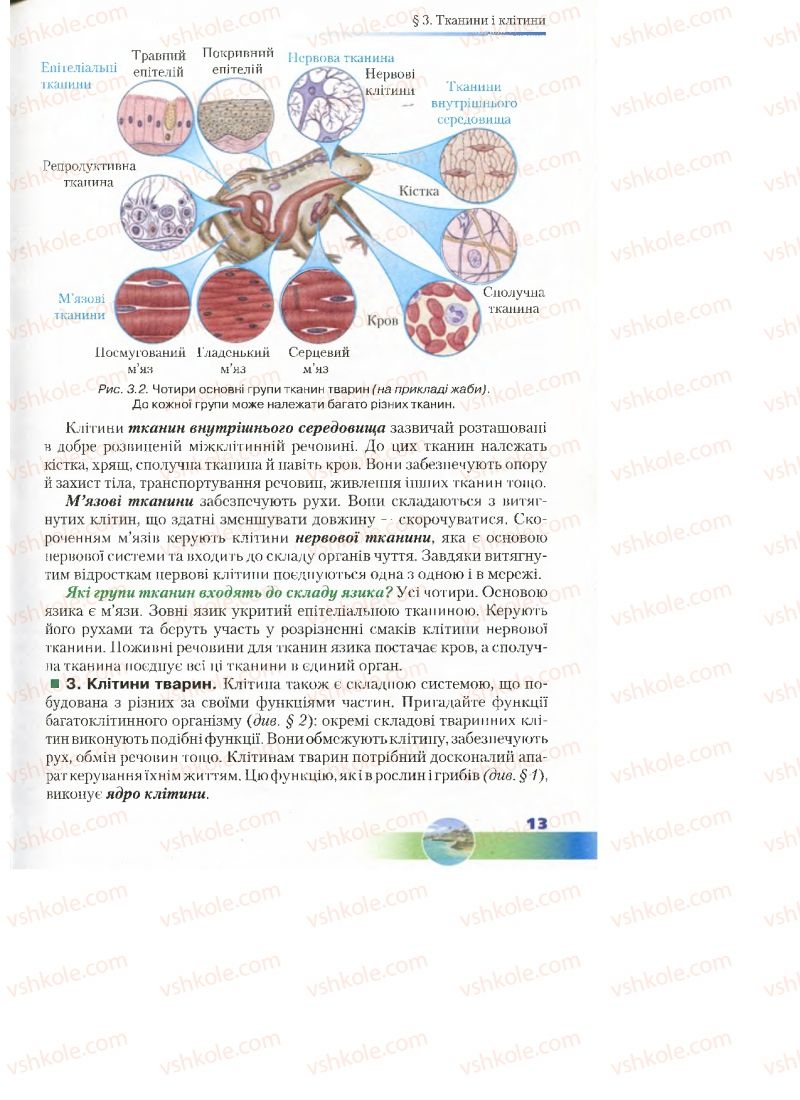 Страница 13 | Підручник Біологія 7 клас Д.А. Шабанов, М.О. Кравченко 2015