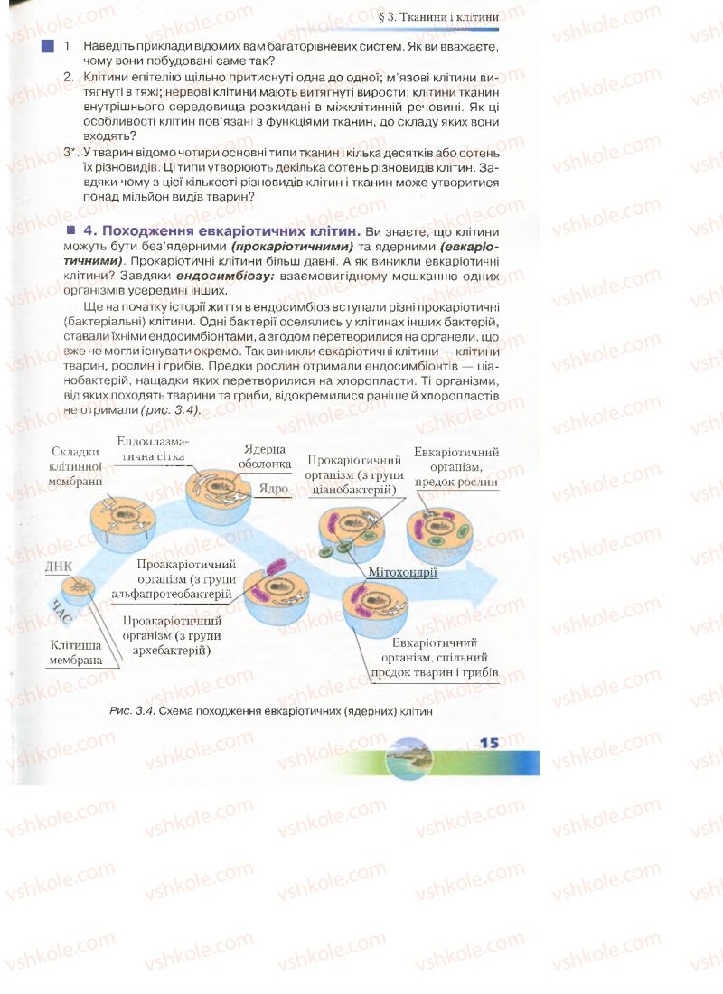 Страница 15 | Підручник Біологія 7 клас Д.А. Шабанов, М.О. Кравченко 2015