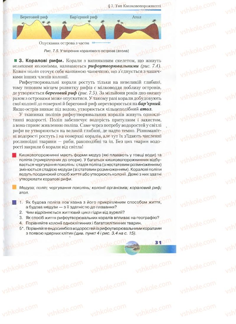 Страница 31 | Підручник Біологія 7 клас Д.А. Шабанов, М.О. Кравченко 2015