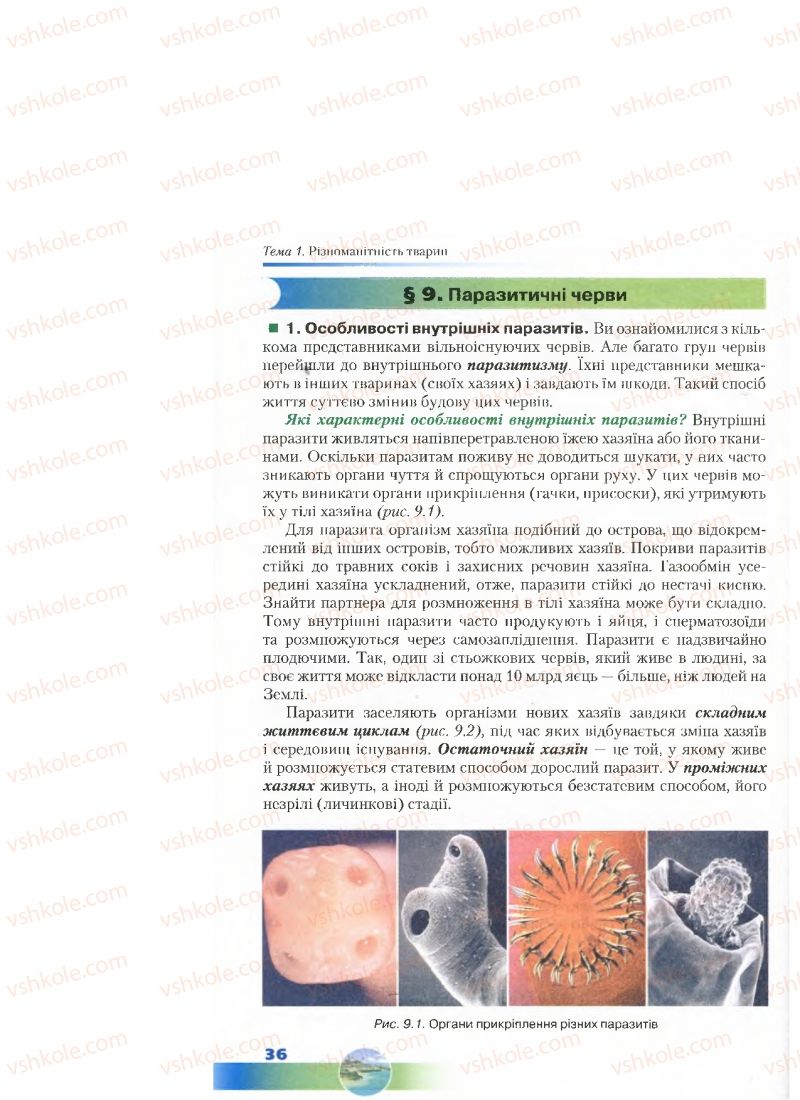Страница 36 | Підручник Біологія 7 клас Д.А. Шабанов, М.О. Кравченко 2015