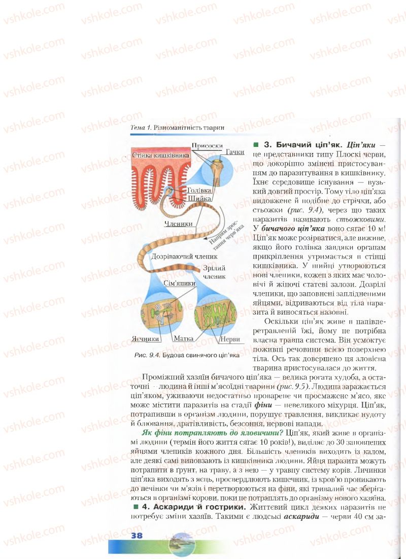 Страница 38 | Підручник Біологія 7 клас Д.А. Шабанов, М.О. Кравченко 2015