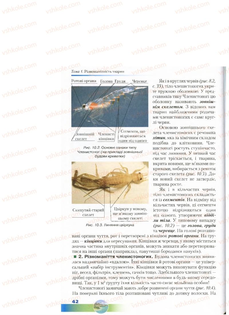 Страница 42 | Підручник Біологія 7 клас Д.А. Шабанов, М.О. Кравченко 2015