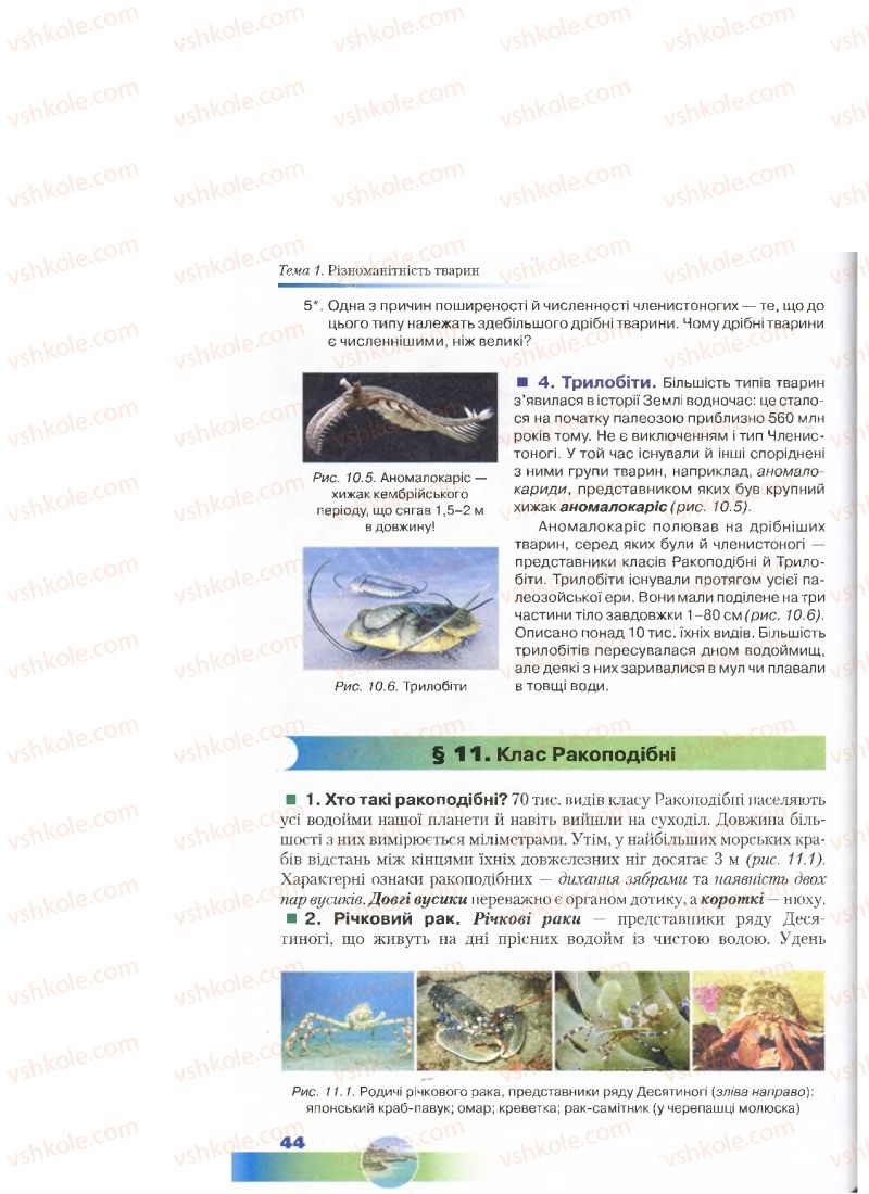 Страница 44 | Підручник Біологія 7 клас Д.А. Шабанов, М.О. Кравченко 2015