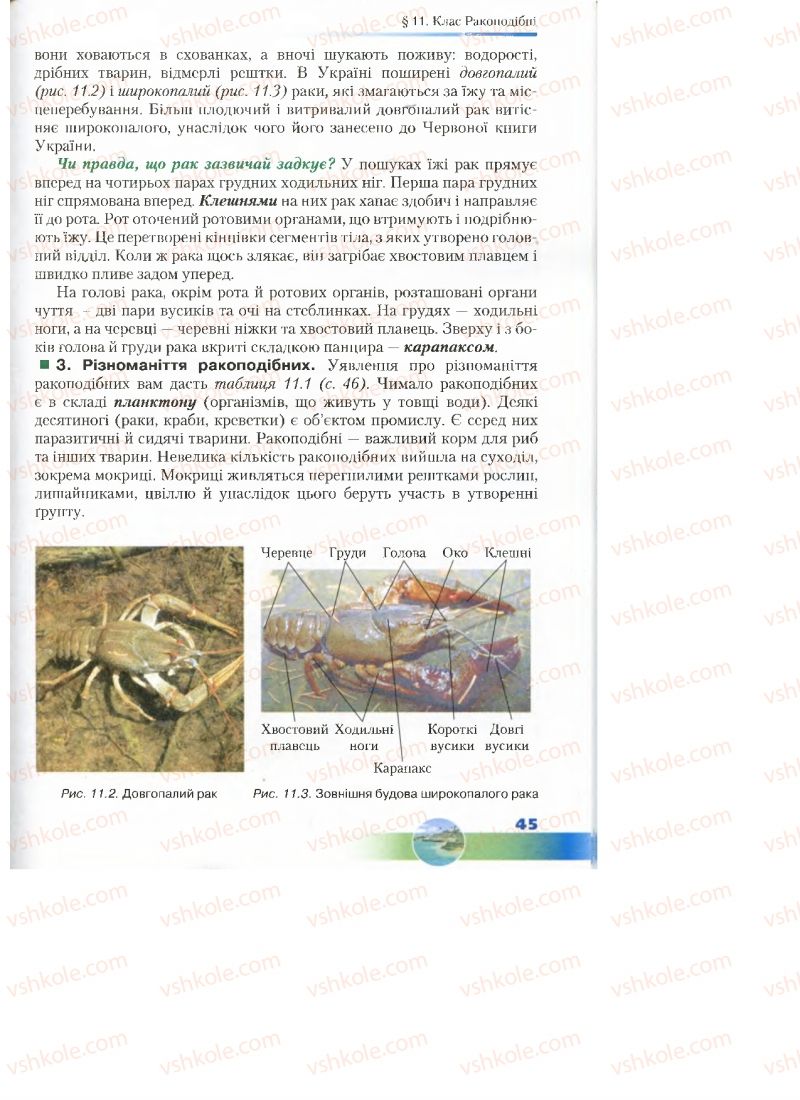 Страница 45 | Підручник Біологія 7 клас Д.А. Шабанов, М.О. Кравченко 2015