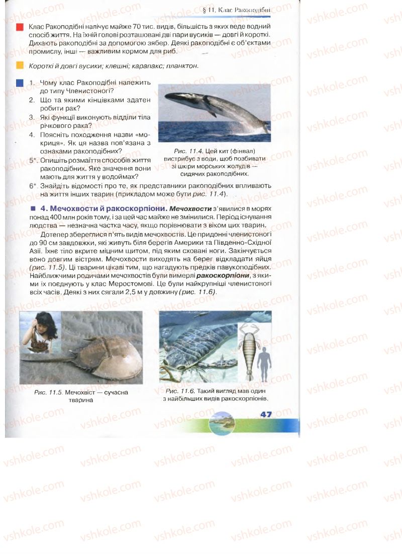 Страница 47 | Підручник Біологія 7 клас Д.А. Шабанов, М.О. Кравченко 2015