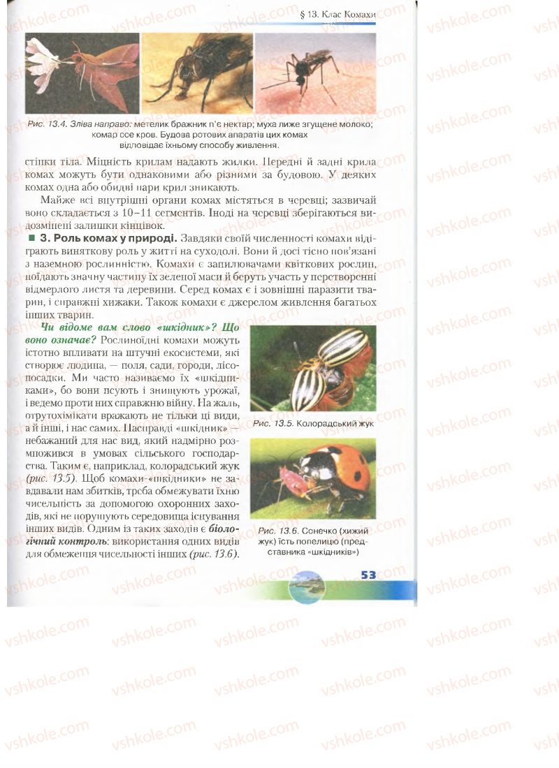 Страница 53 | Підручник Біологія 7 клас Д.А. Шабанов, М.О. Кравченко 2015
