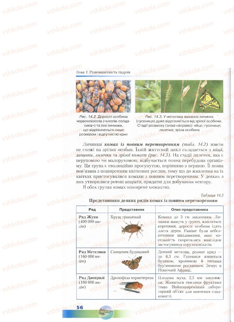 Страница 56 | Підручник Біологія 7 клас Д.А. Шабанов, М.О. Кравченко 2015