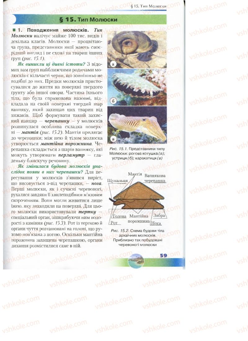 Страница 59 | Підручник Біологія 7 клас Д.А. Шабанов, М.О. Кравченко 2015