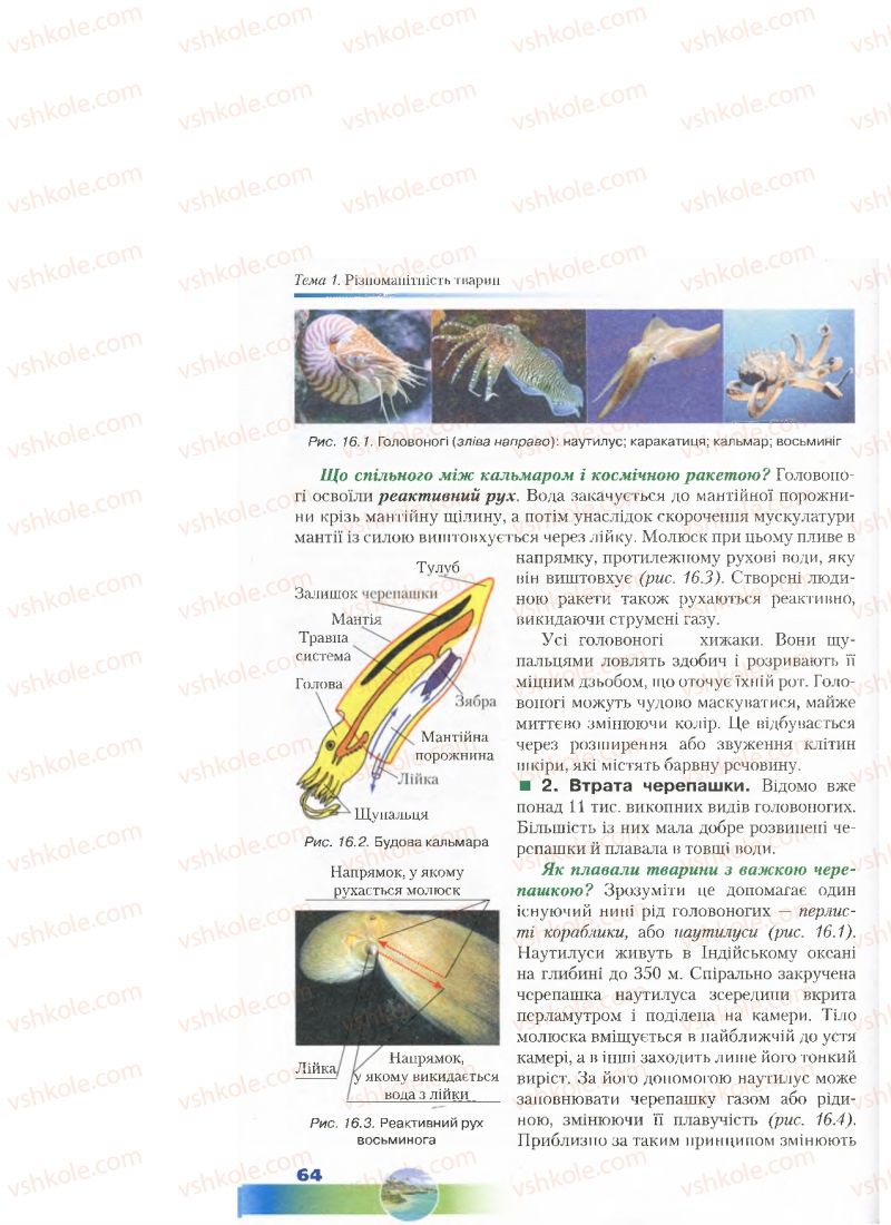 Страница 64 | Підручник Біологія 7 клас Д.А. Шабанов, М.О. Кравченко 2015