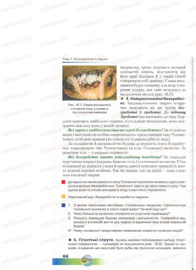 Страница 66 | Підручник Біологія 7 клас Д.А. Шабанов, М.О. Кравченко 2015