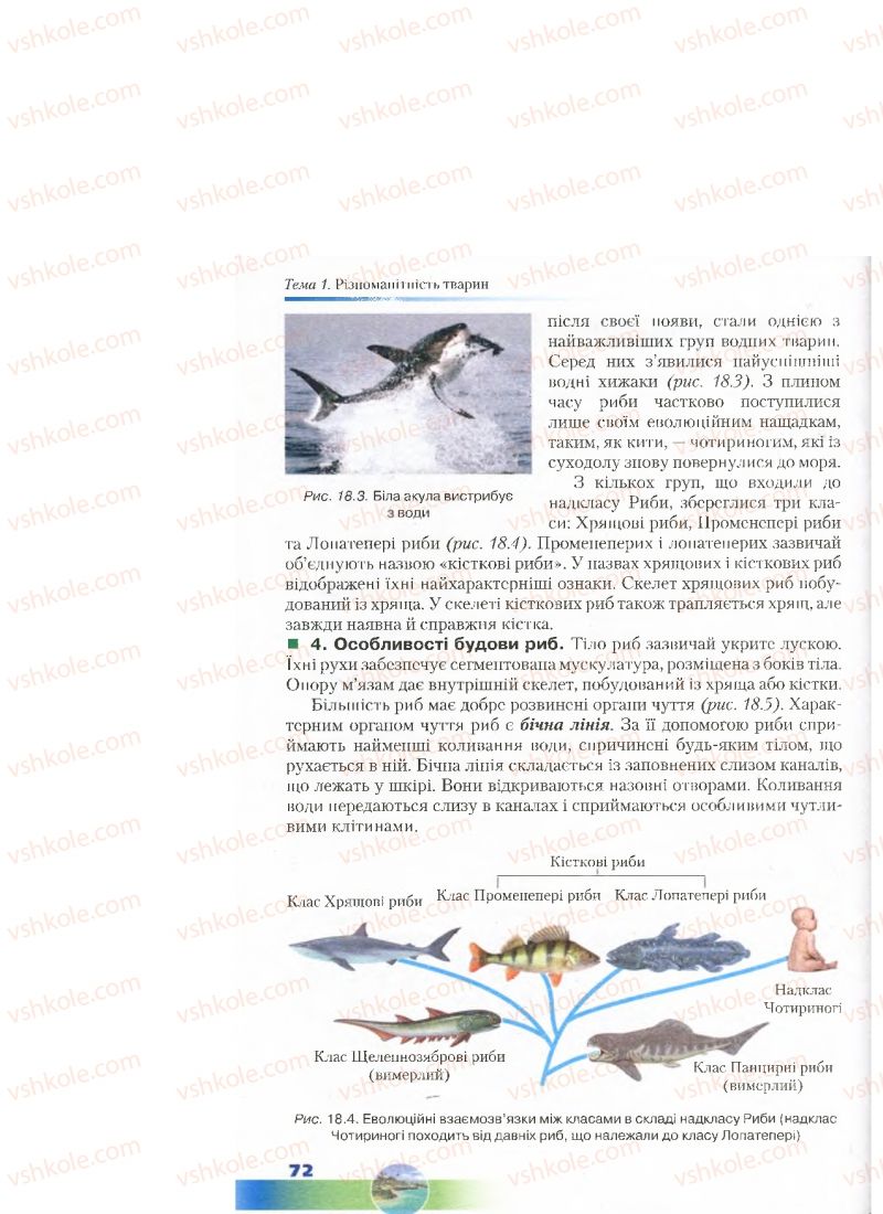 Страница 72 | Підручник Біологія 7 клас Д.А. Шабанов, М.О. Кравченко 2015
