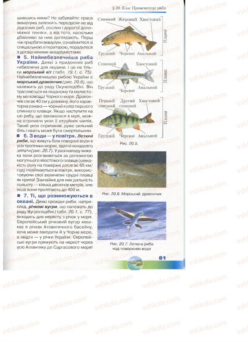 Страница 81 | Підручник Біологія 7 клас Д.А. Шабанов, М.О. Кравченко 2015