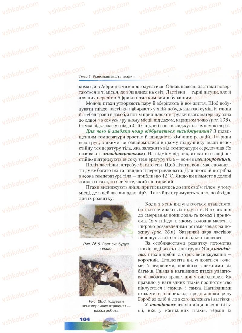 Страница 104 | Підручник Біологія 7 клас Д.А. Шабанов, М.О. Кравченко 2015