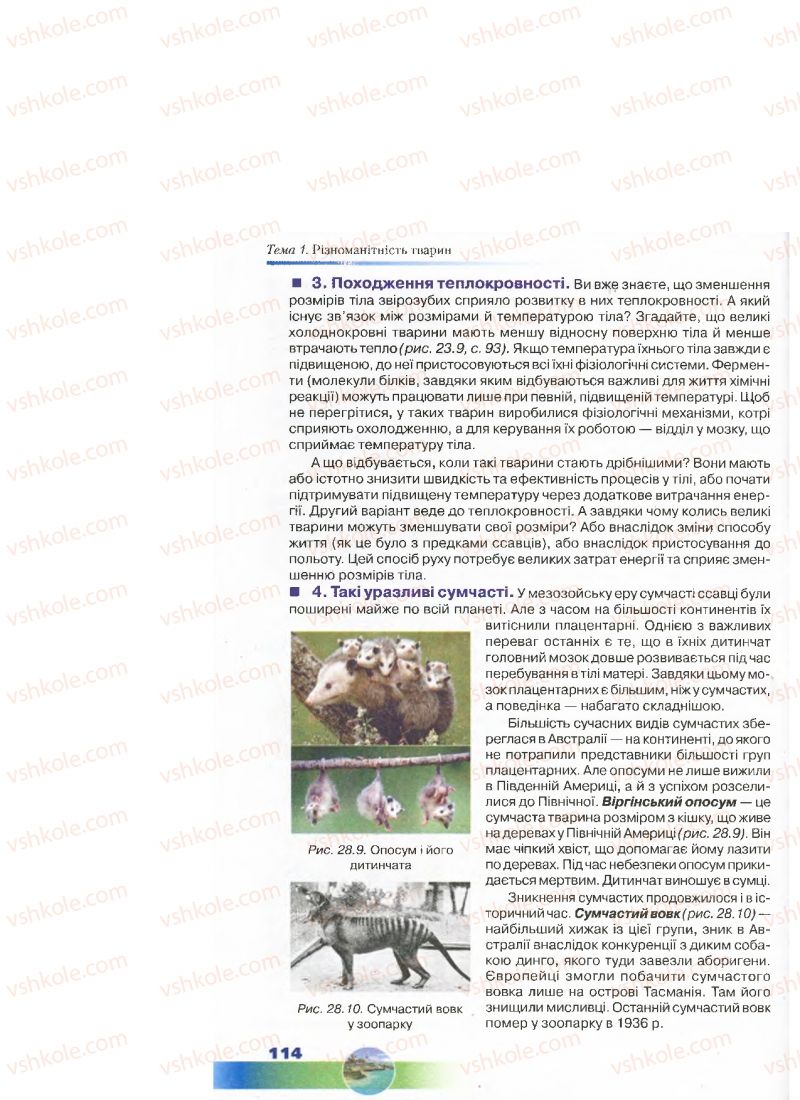 Страница 114 | Підручник Біологія 7 клас Д.А. Шабанов, М.О. Кравченко 2015