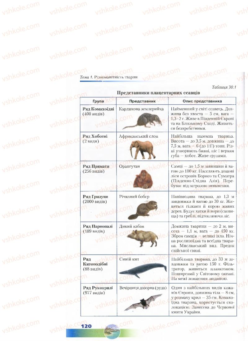 Страница 120 | Підручник Біологія 7 клас Д.А. Шабанов, М.О. Кравченко 2015