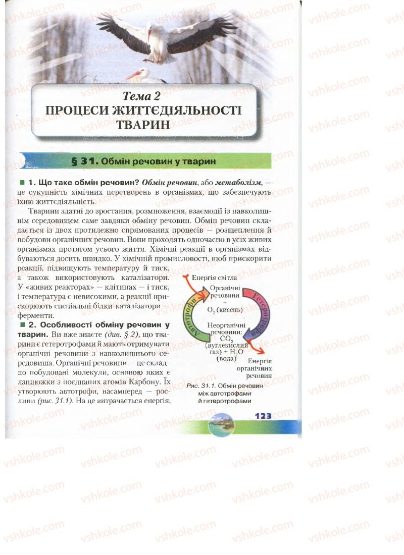 Страница 123 | Підручник Біологія 7 клас Д.А. Шабанов, М.О. Кравченко 2015