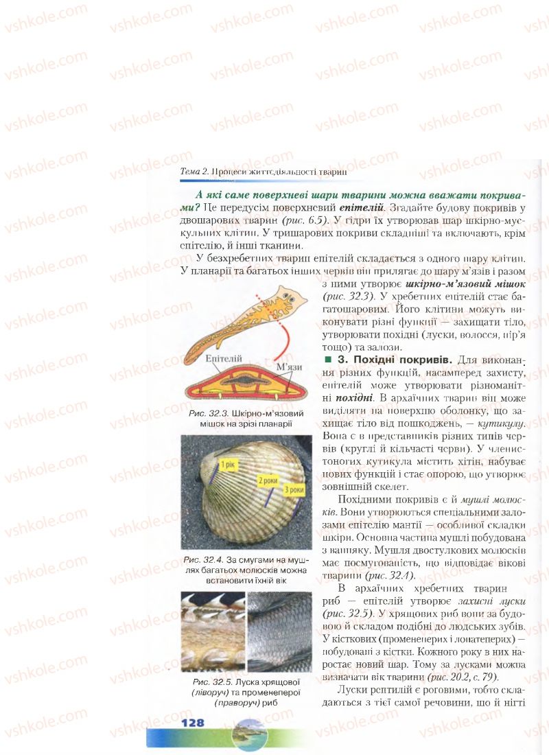 Страница 128 | Підручник Біологія 7 клас Д.А. Шабанов, М.О. Кравченко 2015