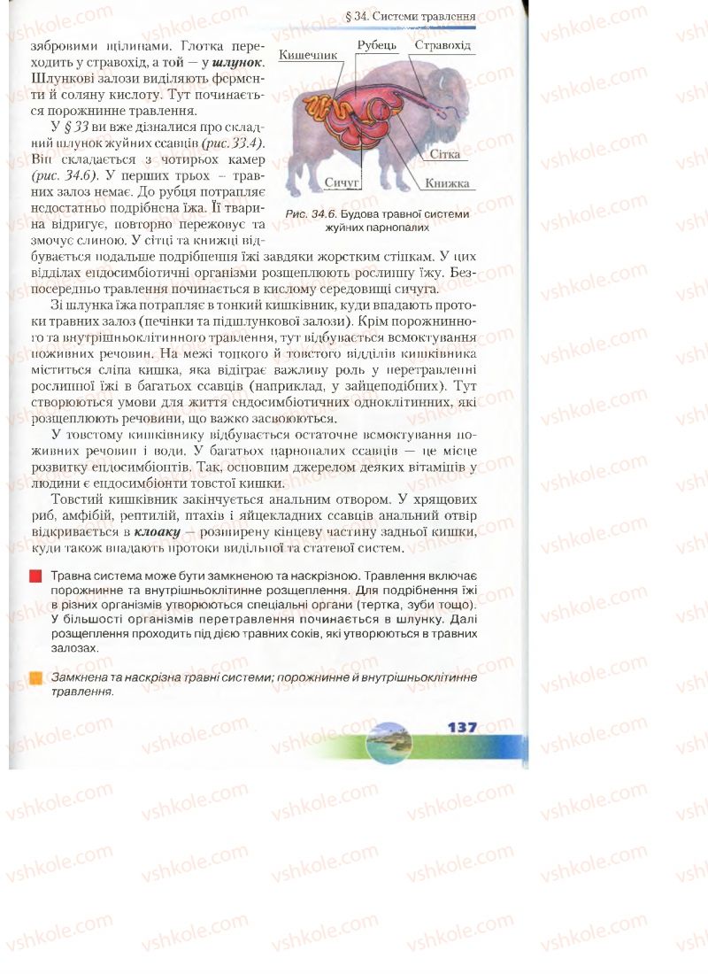 Страница 137 | Підручник Біологія 7 клас Д.А. Шабанов, М.О. Кравченко 2015