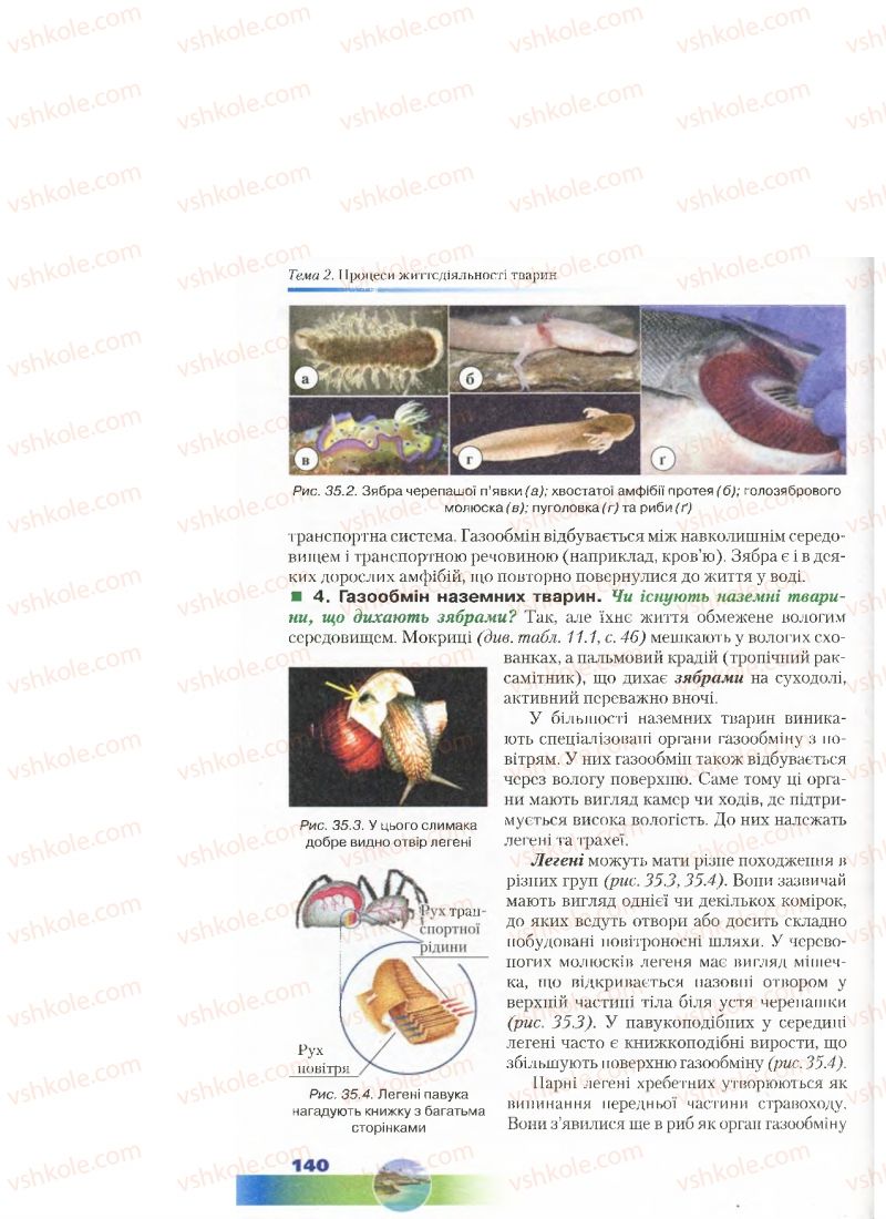 Страница 140 | Підручник Біологія 7 клас Д.А. Шабанов, М.О. Кравченко 2015