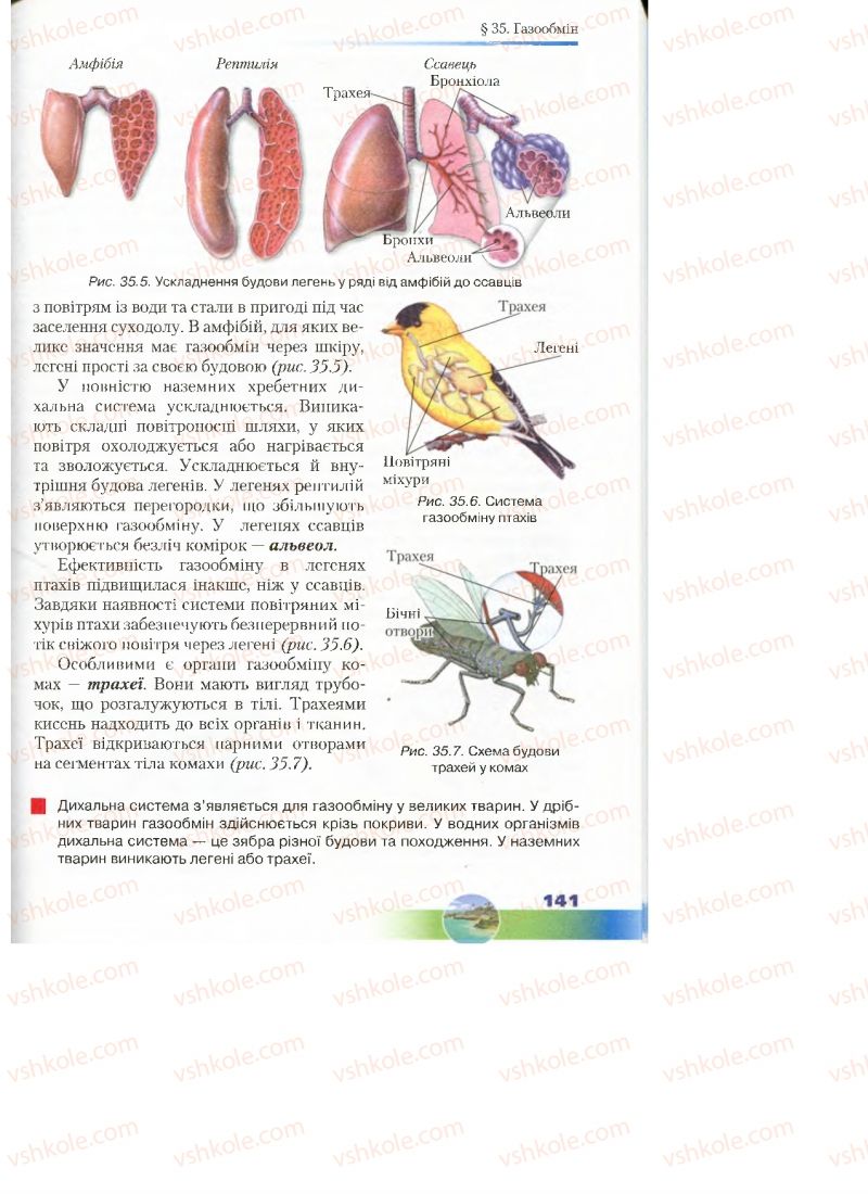 Страница 141 | Підручник Біологія 7 клас Д.А. Шабанов, М.О. Кравченко 2015